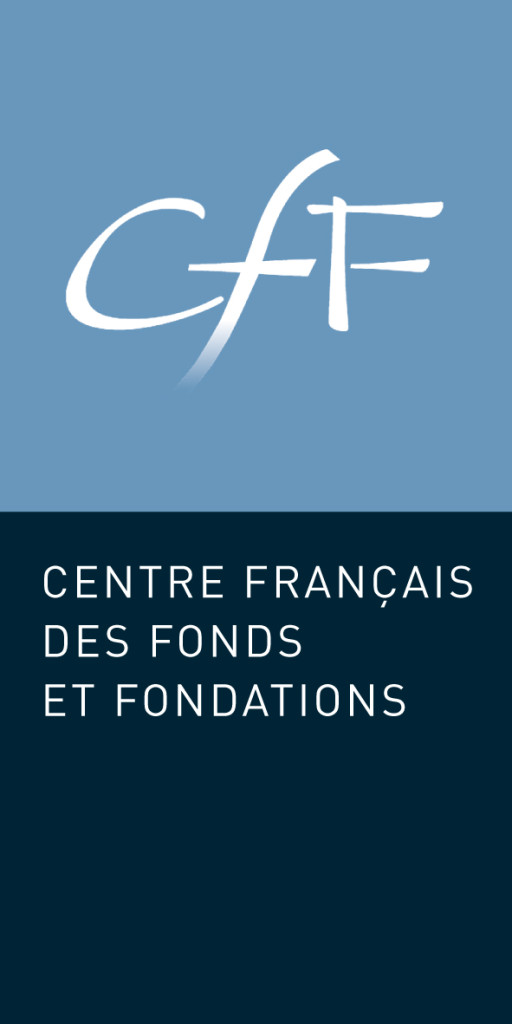 Logo Centre Français des Fonds et Fondations - Fondation EY